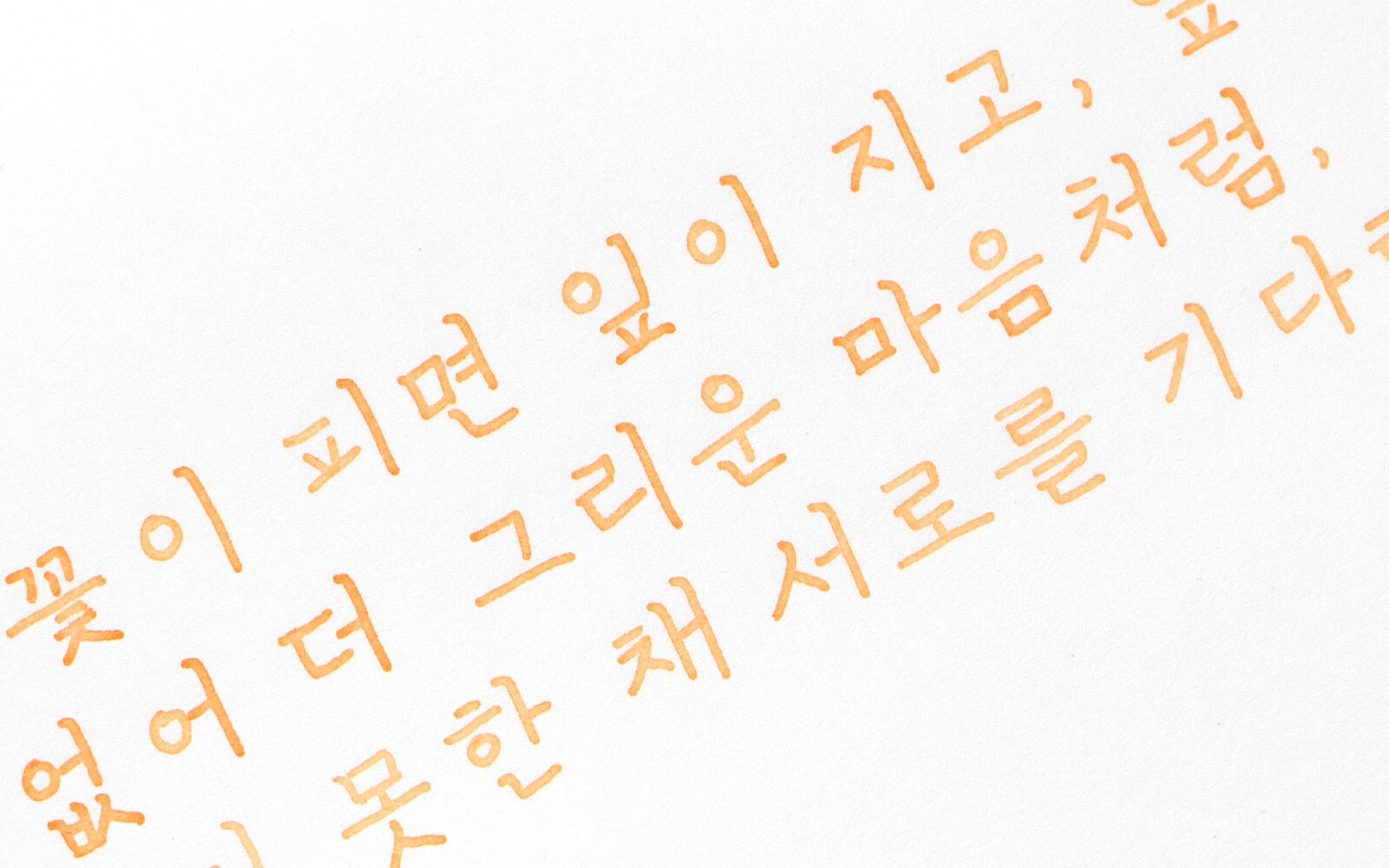 【濟州相思花 15ml】Colorverse 鋼筆墨水 - 5