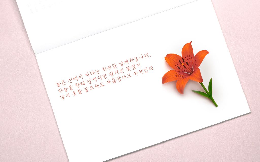 Colorverse No.72 Siberian Lily 西伯利亞百合 Ink Handwriting Sample & Calligraphy