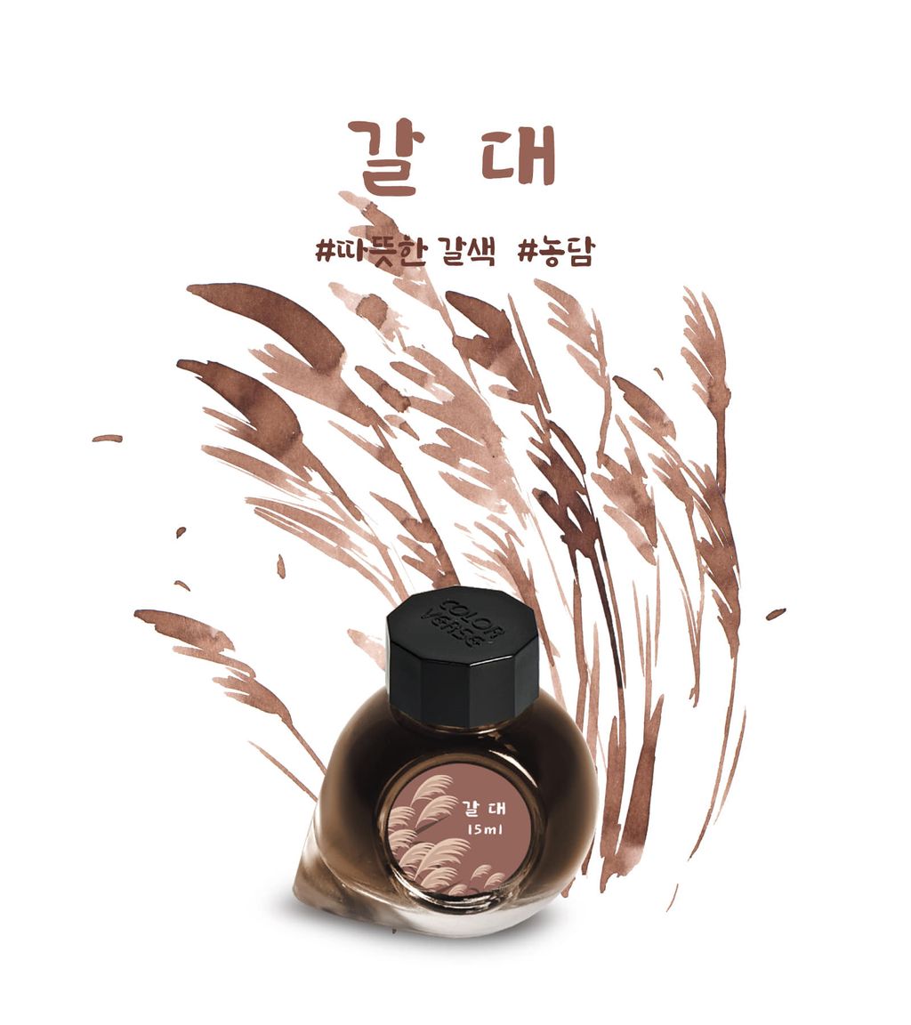 Colorverse No.73 Common Reed 蘆葦 Ink Illustration & Autumn Reed Photography