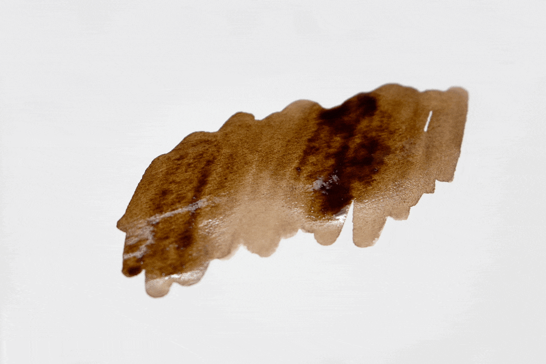 Colorverse No.73 Common Reed 蘆葦 Ink Bottle Top View & Sepia Brown Background