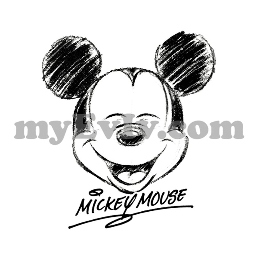 DN013-MickeyHeadSketch-W-Template.jpg