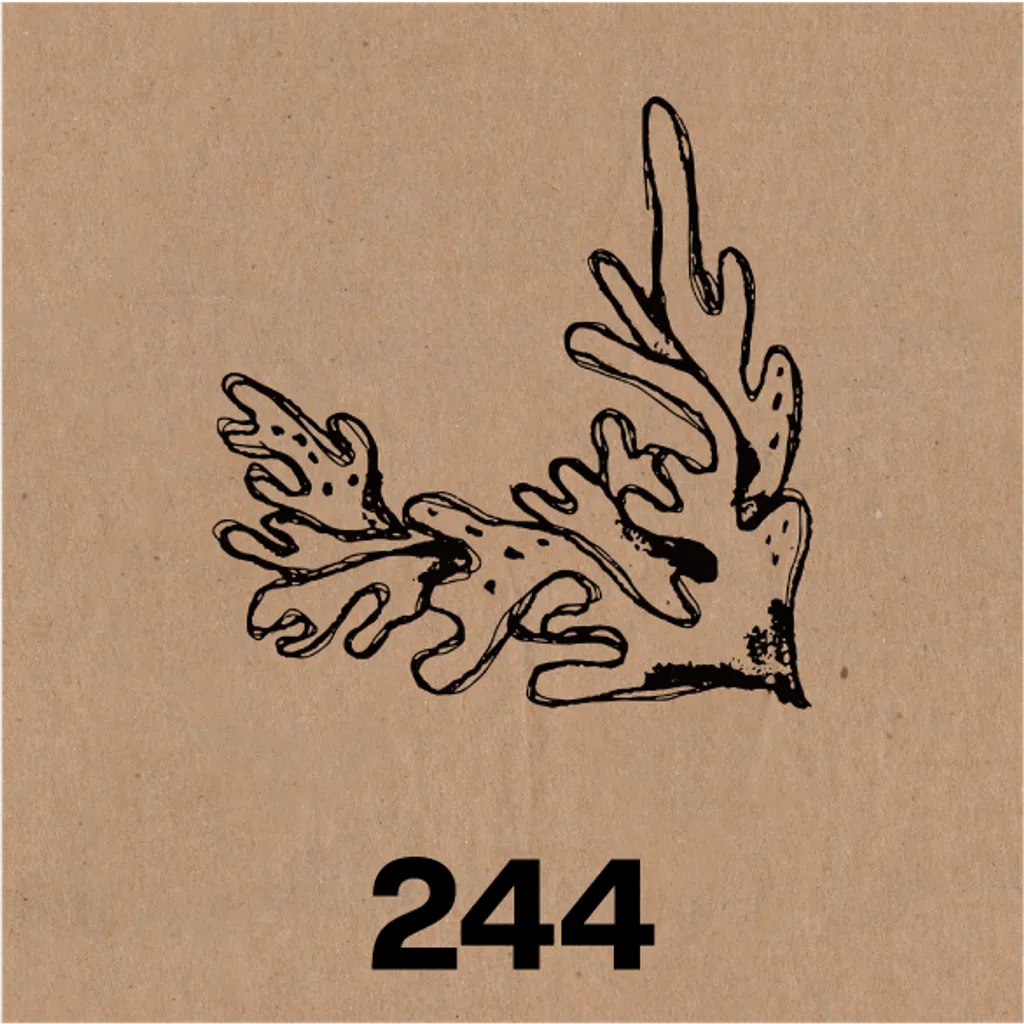 244.png