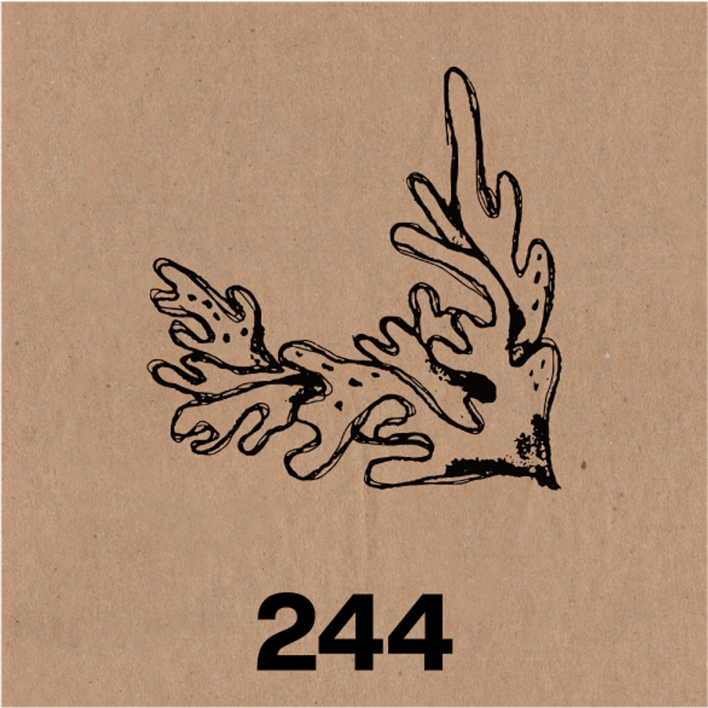 244.png