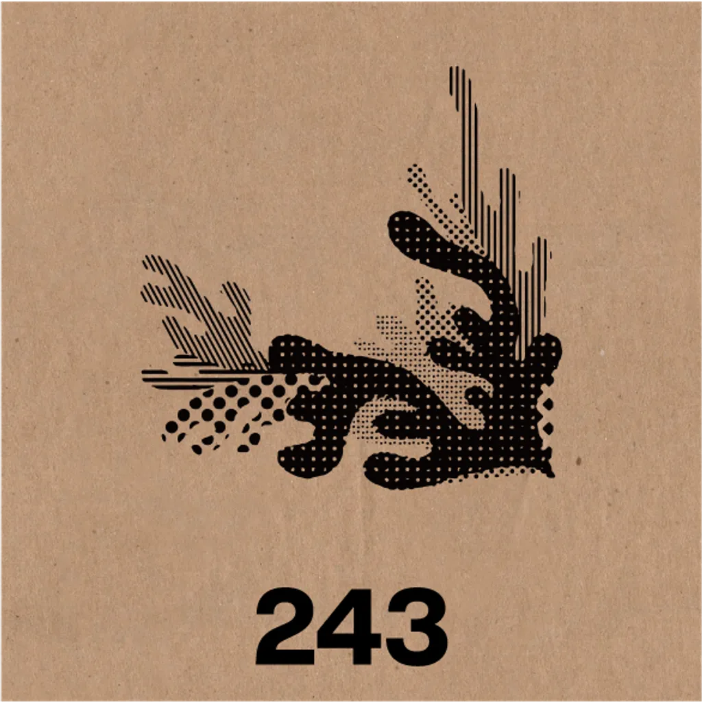 243.png