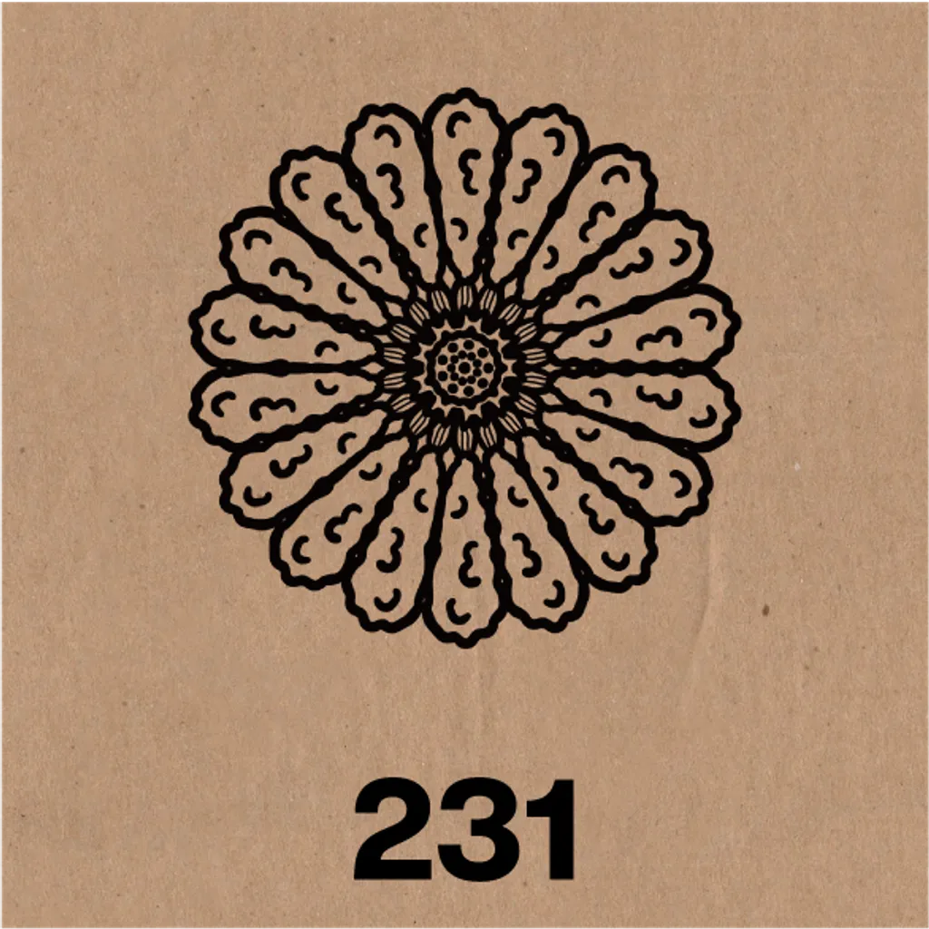 231.png