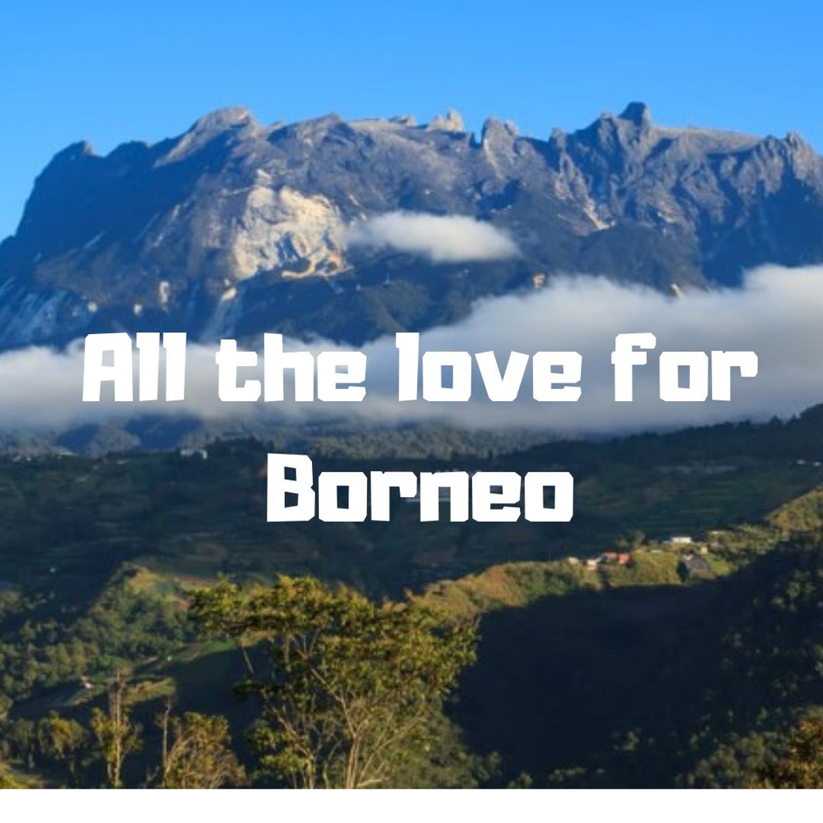 All the love for Borneo