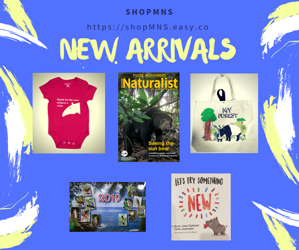 New Arrivals!