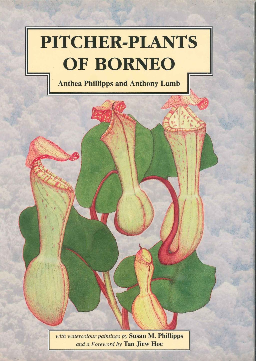 Book Review: Pitcher Plants of Borneo