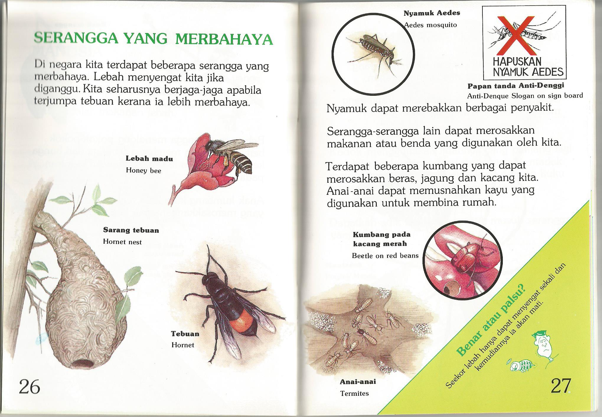 serangga 1.jpg