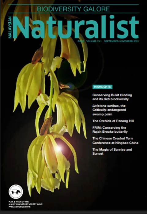 MN vol 79.1 cover