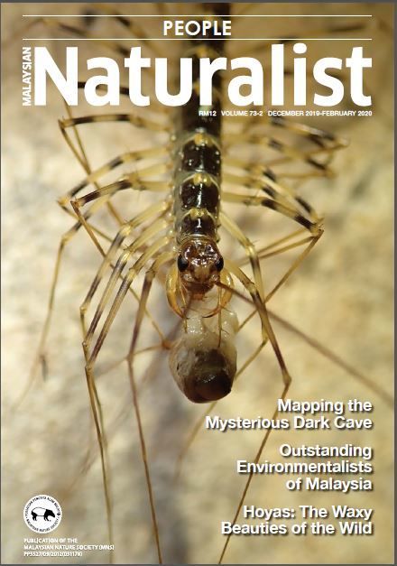 cover image.jpg