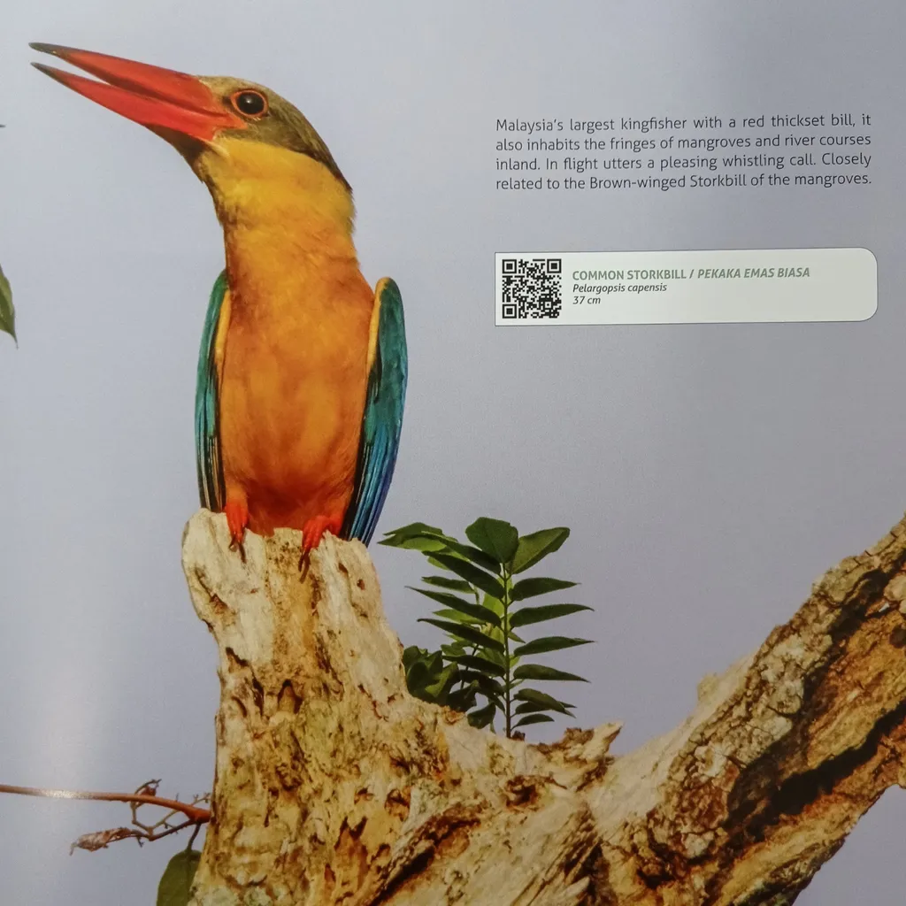 Birds of Malaysia QRCode (2).png
