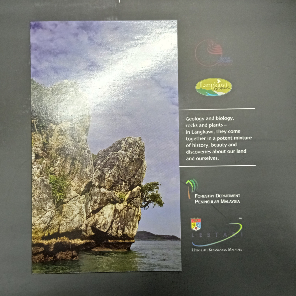 Untitled design (4).png