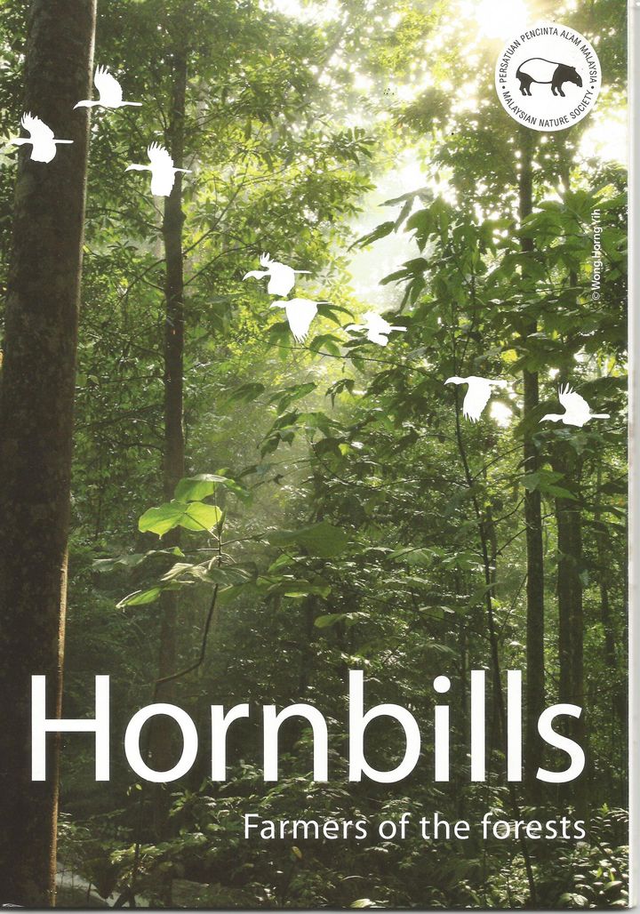 hornbill.jpg
