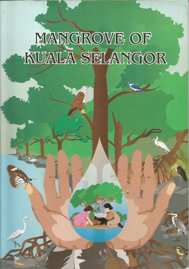 mangrove of Kuala Selangor.jpg