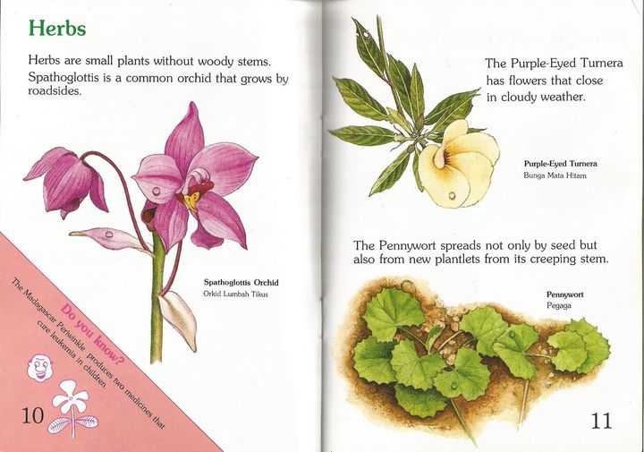 flowers 10.jpg