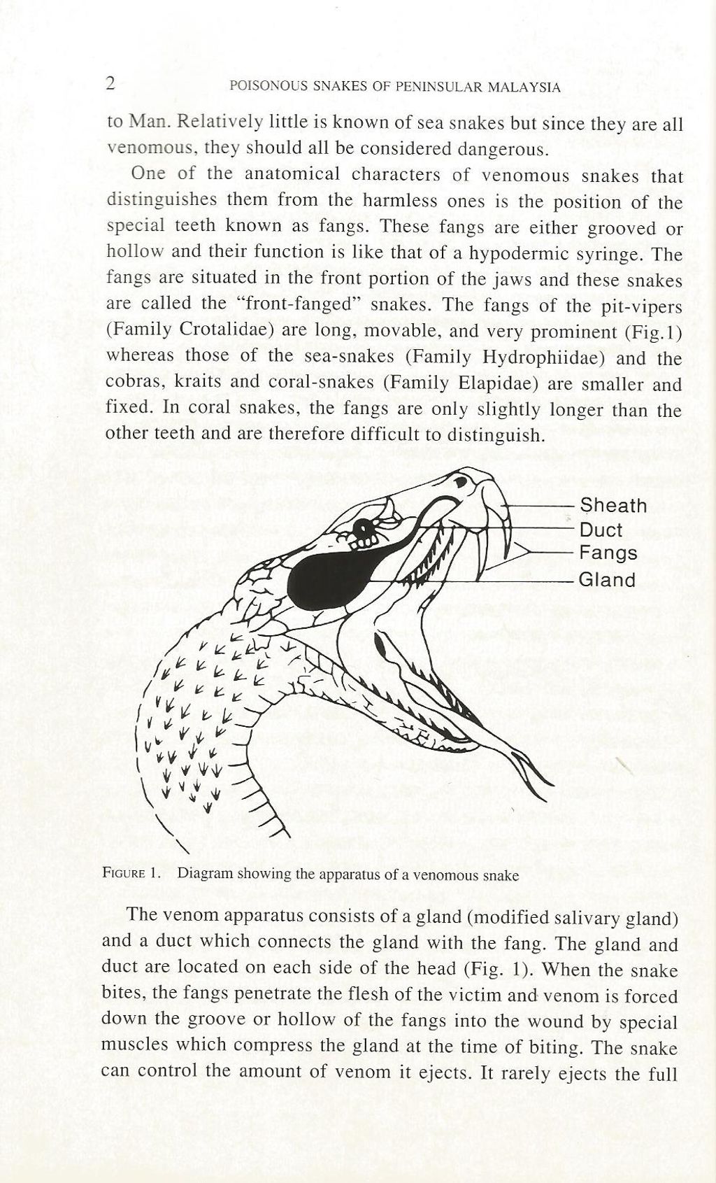 poisonous 2.jpg