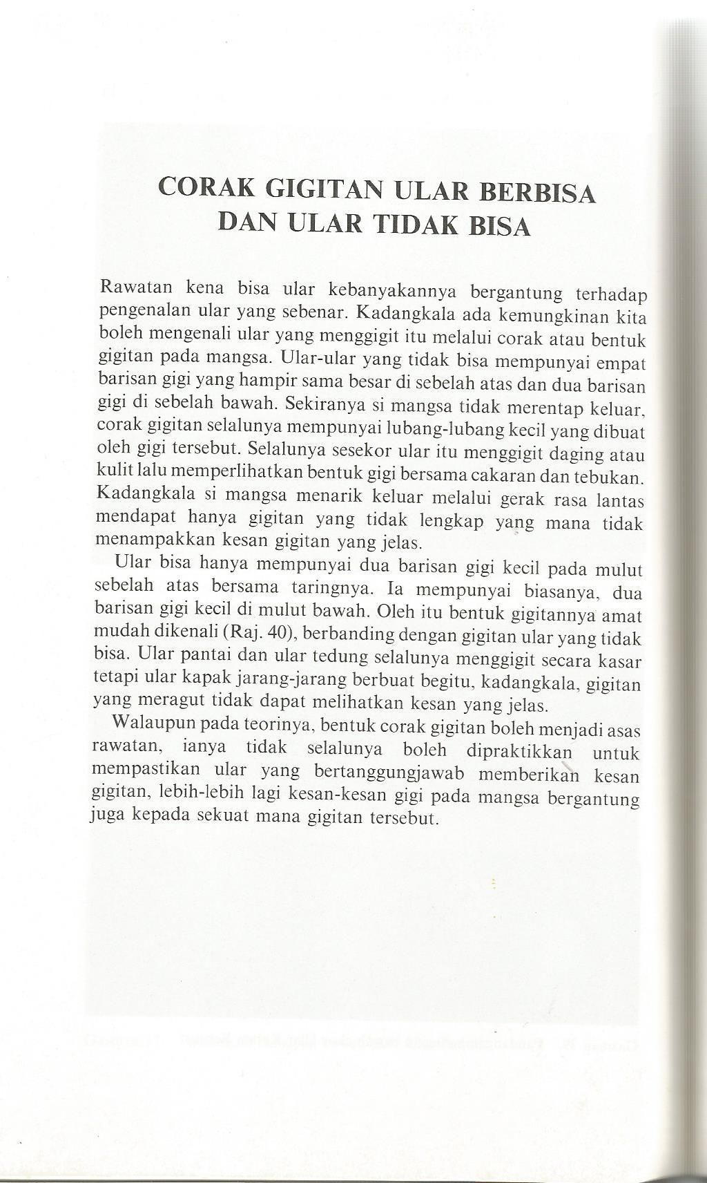 ular 2.jpg