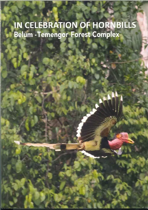 hornbill front.jpg