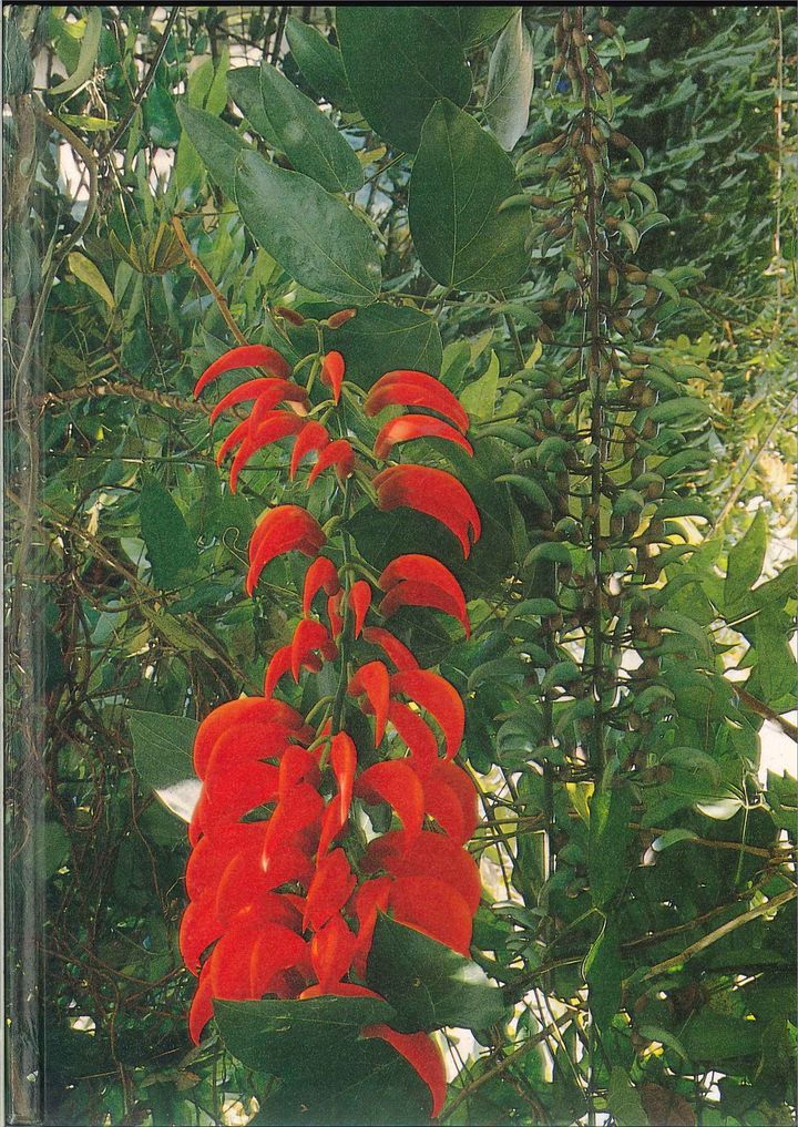 201806261044_0003.jpg