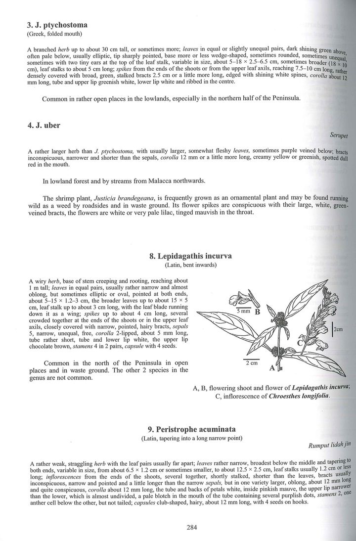 henderson (inside 1).jpg