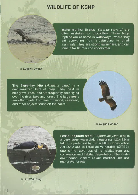 KSNP For Ramsar 4.jpg