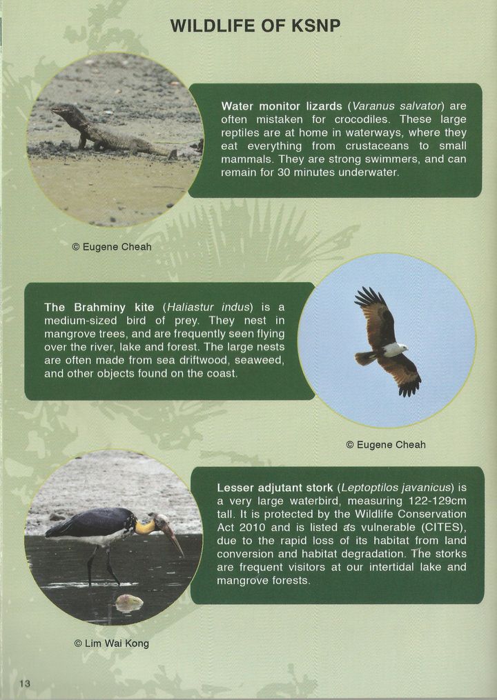 KSNP For Ramsar 4.jpg