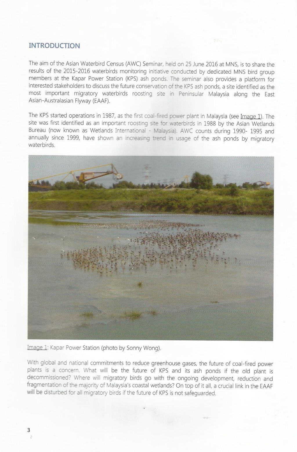Birdlife 3.jpg