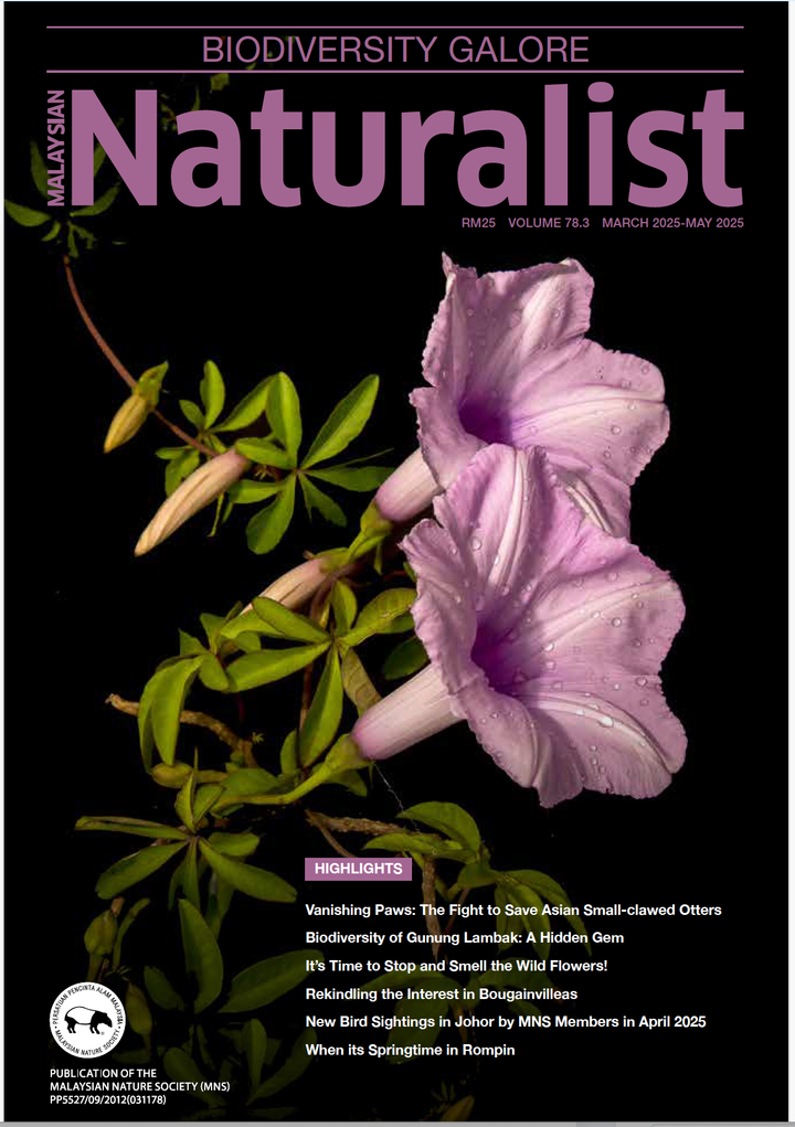 Alternative Front