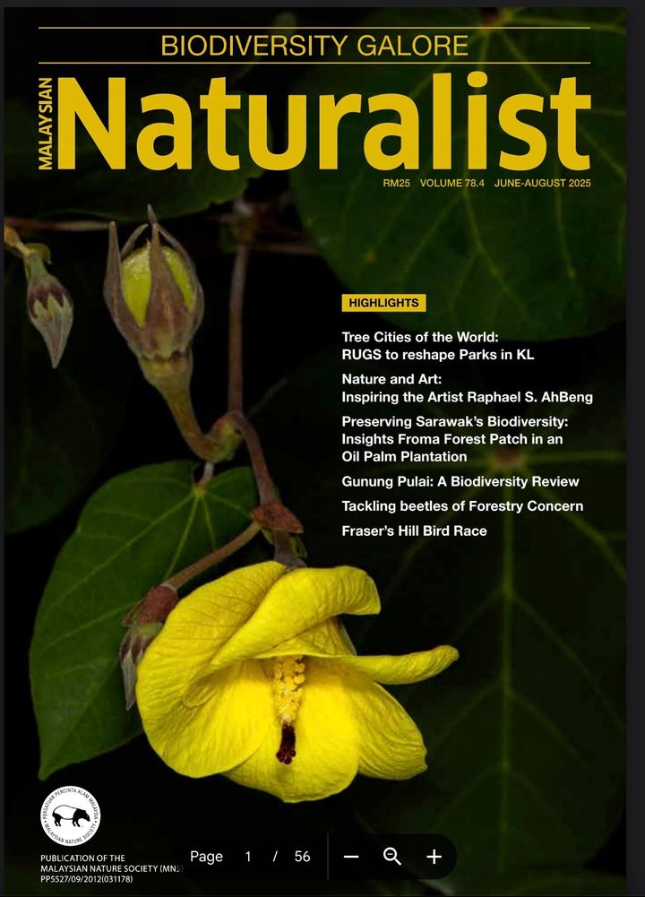 Vol 78.4