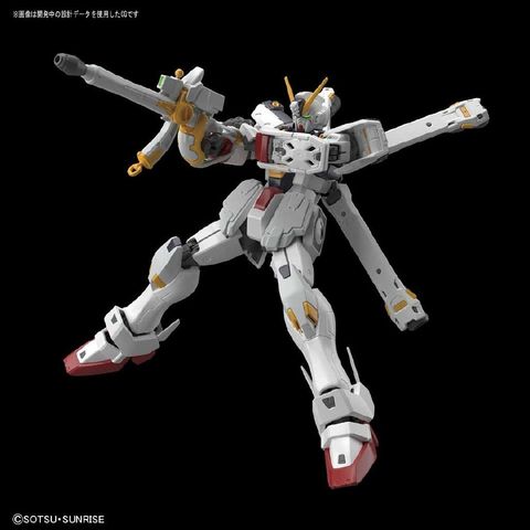 rg%2Bcrossbone%2Bx1%2B1%2B4