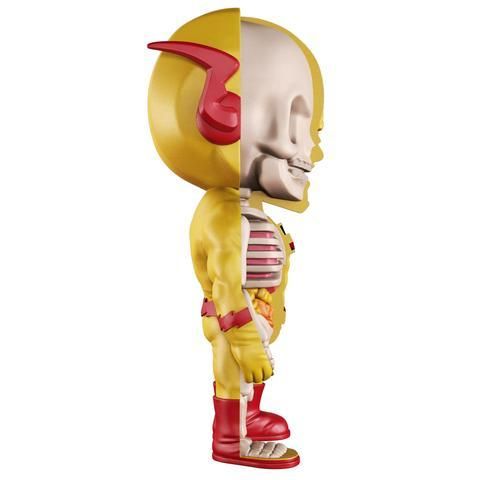 XXRAY_Reverse-Flash_4_large