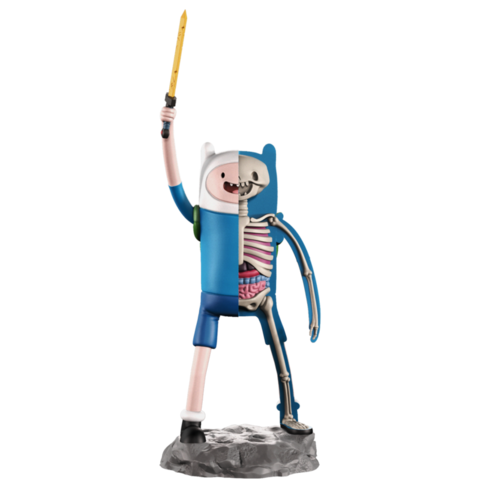XXRAY_Finn_1_large