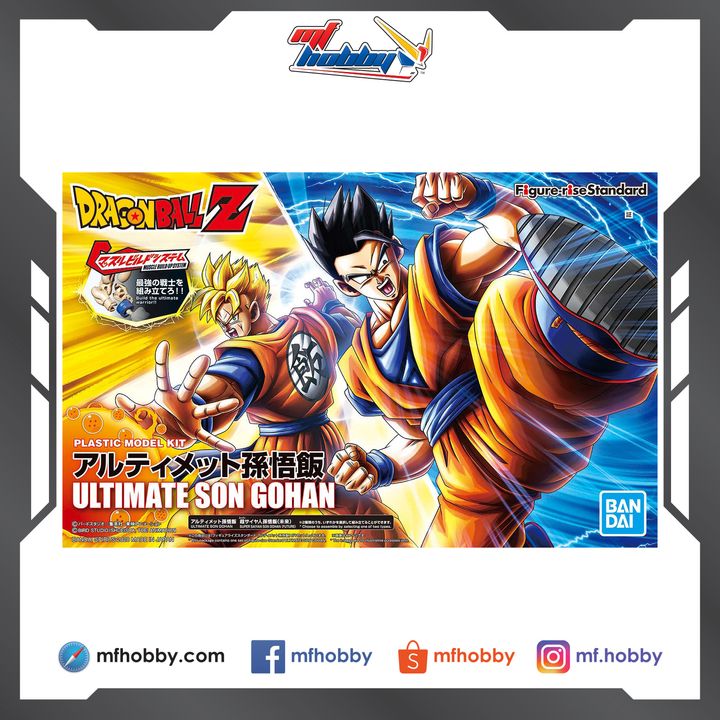 Frame MF Hobby.jpg