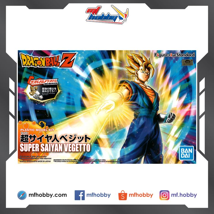 Frame MF Hobby.jpg