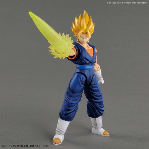 figure-rise_standard_ss_vegeto05