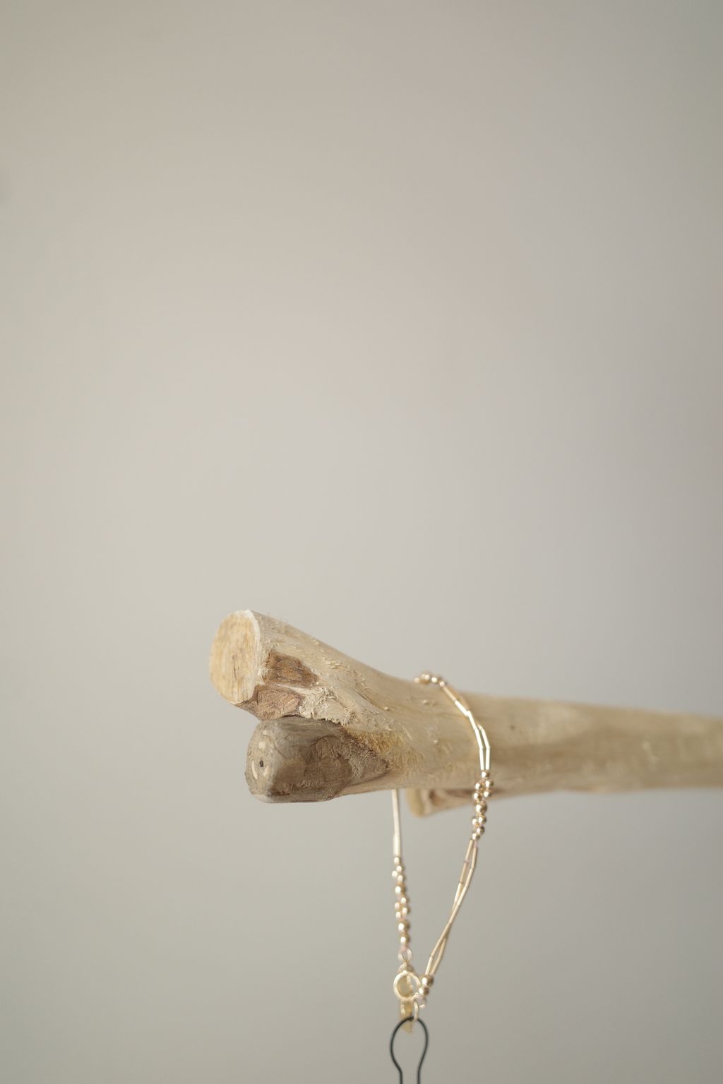 R0009736.JPG