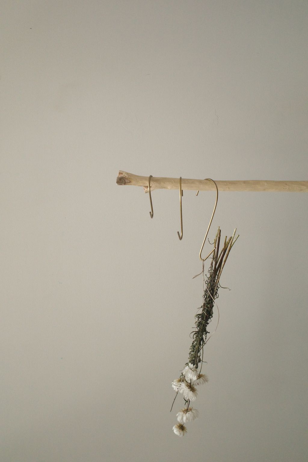 R0011820.JPG