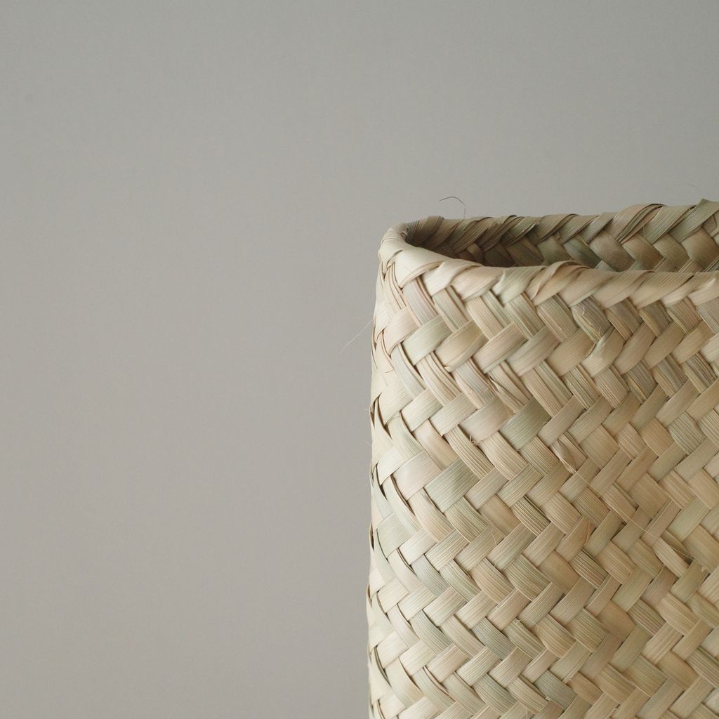 R0006681.JPG