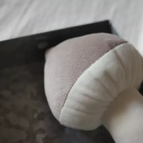 w2