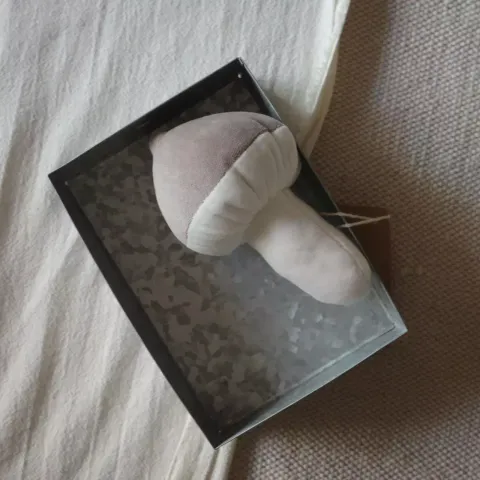 w1
