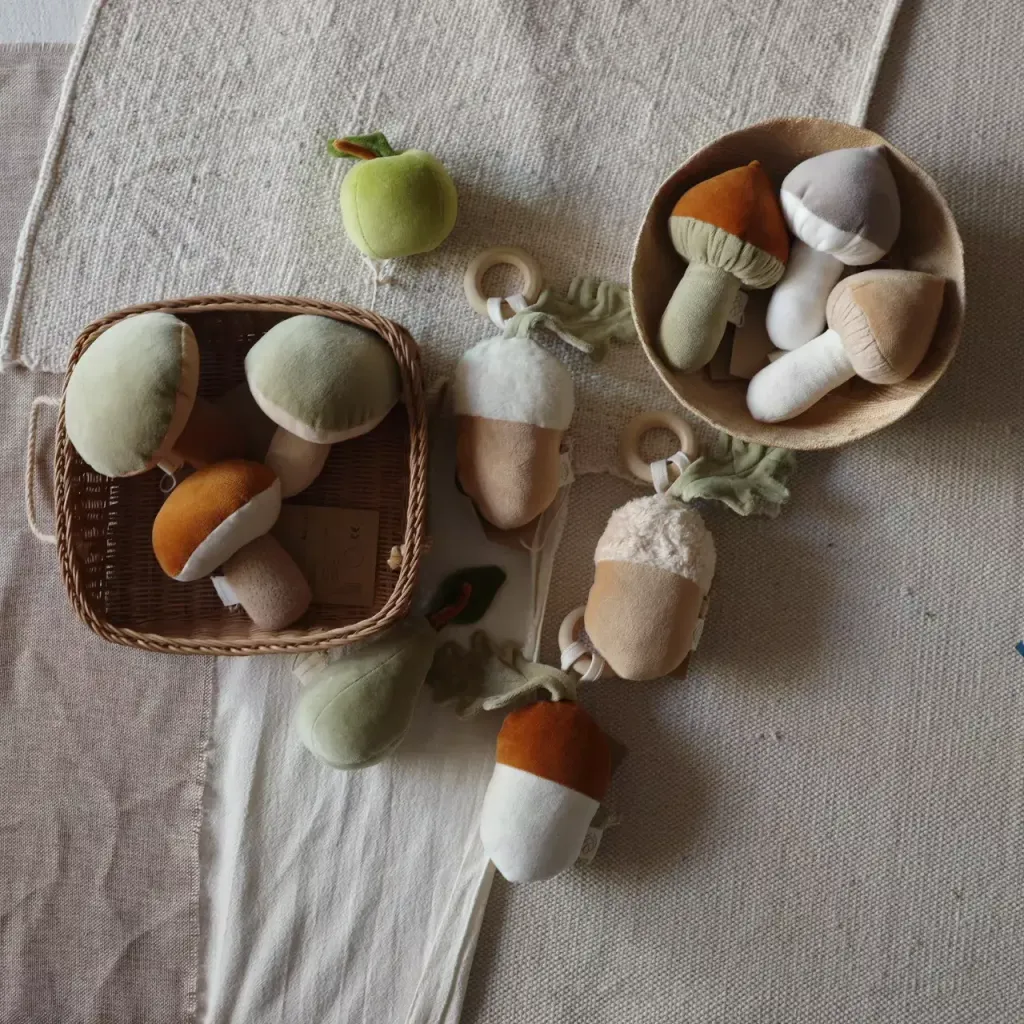 蘑菇合照