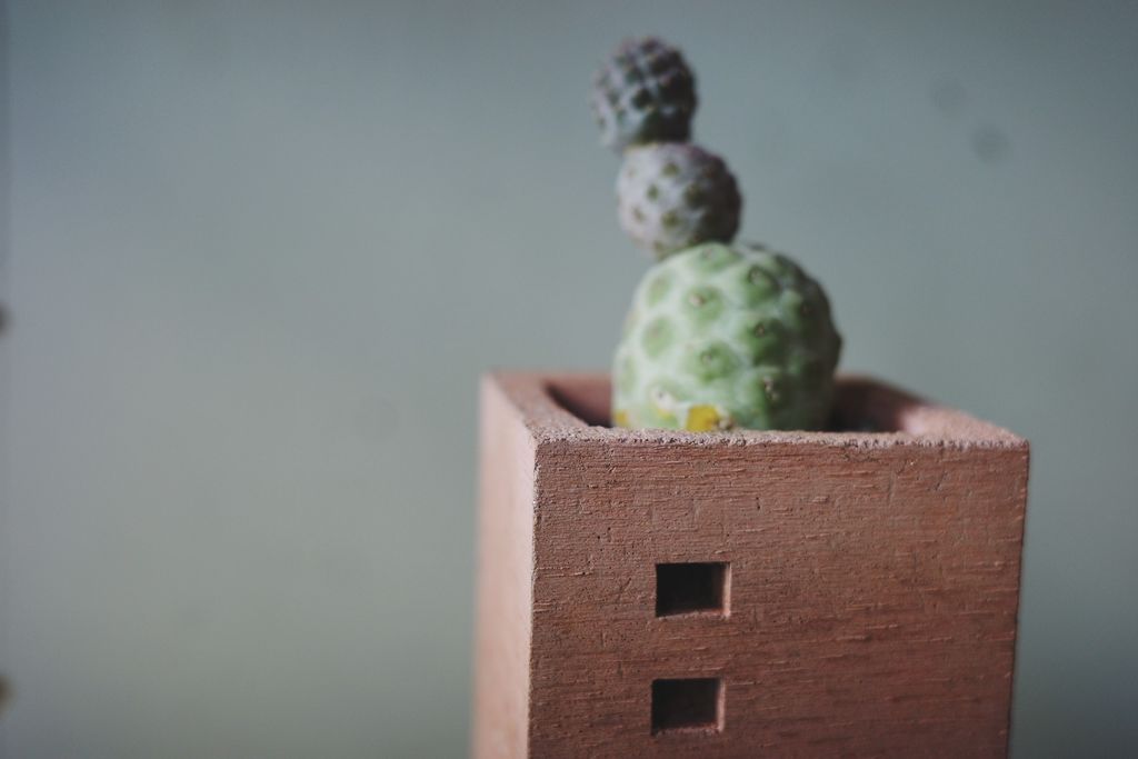 R0039035-VSCO