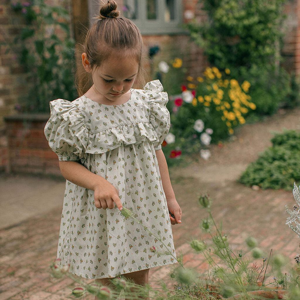 BirdieDress-DitsyHeartFloral