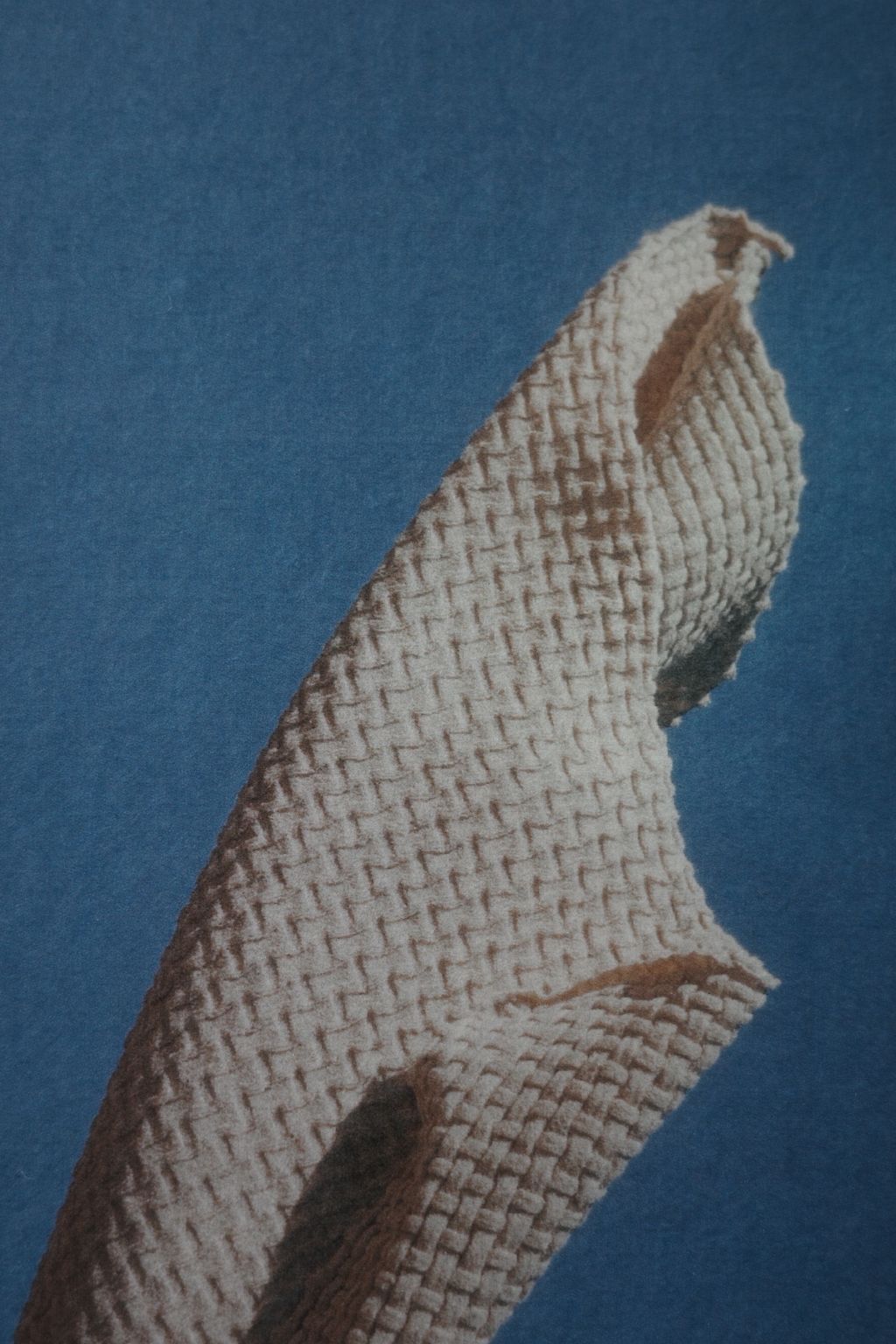 R0011916