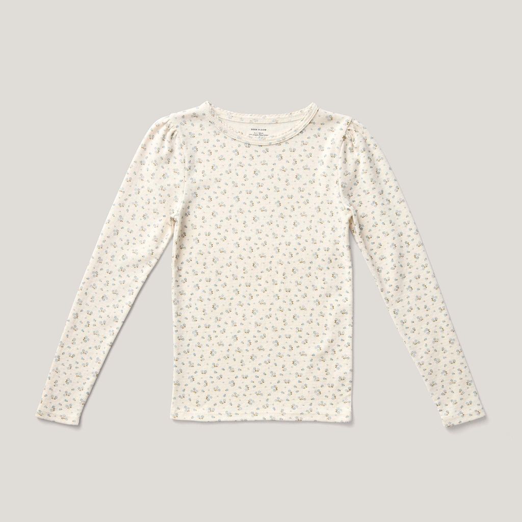 SP_250109-1544_2048x2048