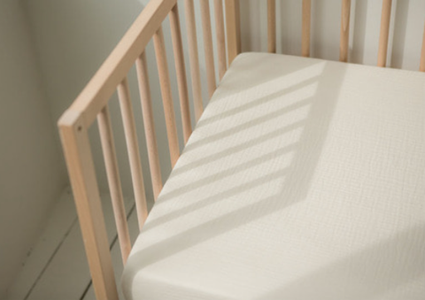 螢幕快照 2026-01-02 下午2.42.40