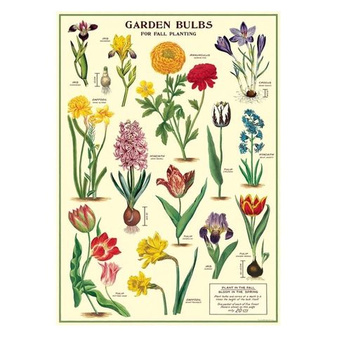 Garden Bulbs Wrap.jpg