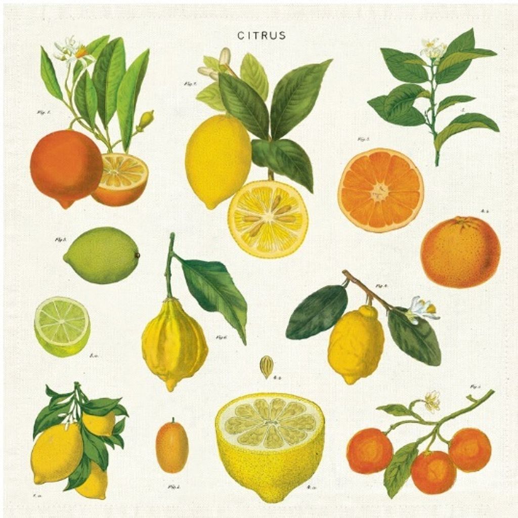 citrus