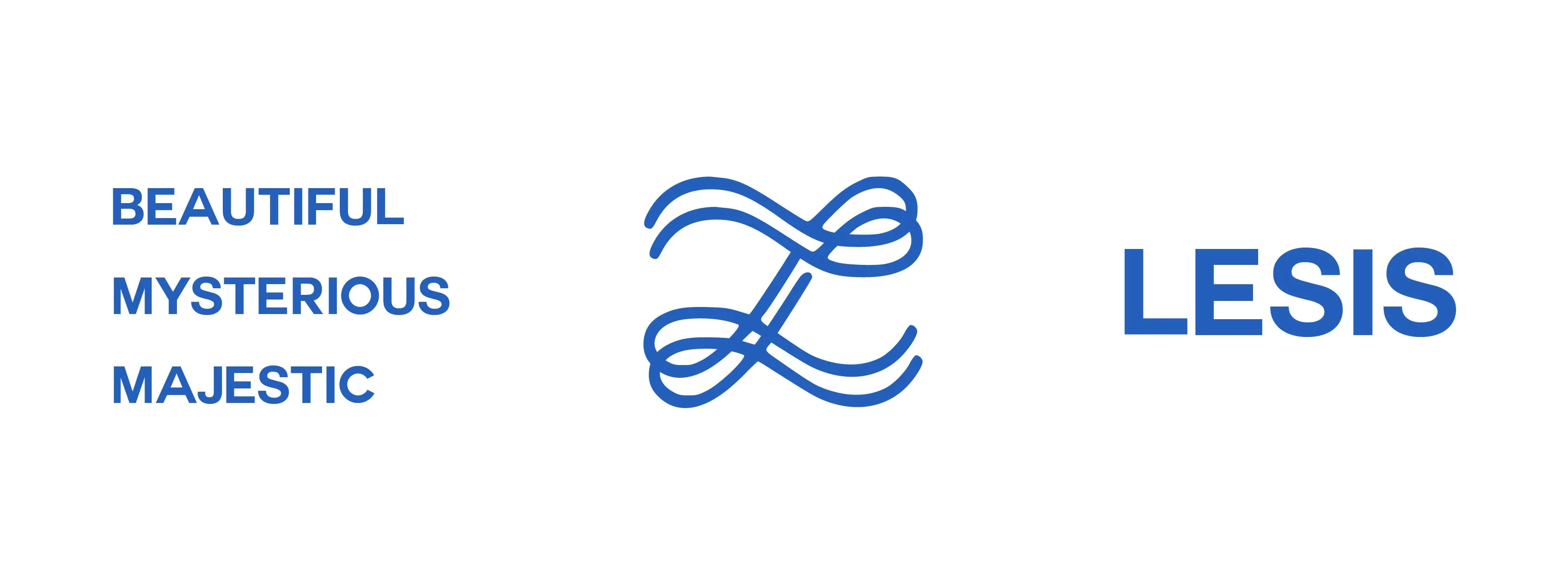 BANNER_Lesis